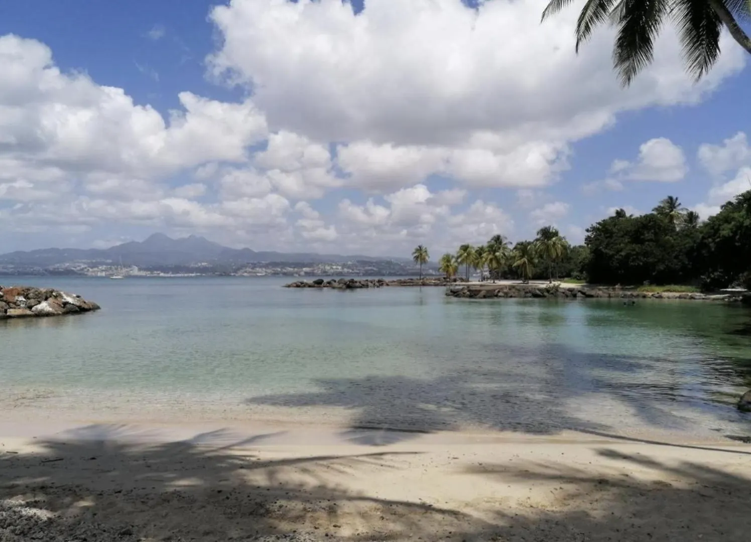 Apartament Superbe Studio Marina Pointe Du Bout Les Trois-Ilets